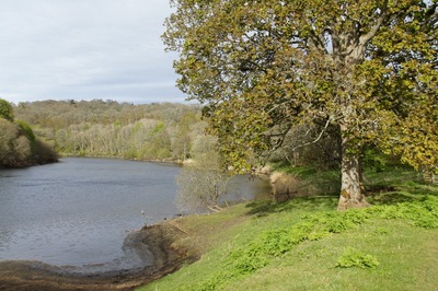 Walk photo
