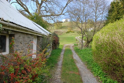 Walk photo