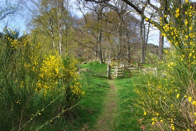 Walk photo