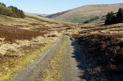 Walk photo