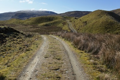 Walk photo