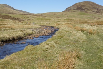 Walk photo