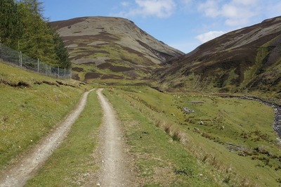 Walk photo