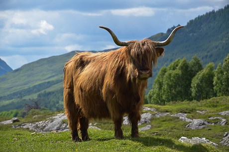 Killin and Aberfeldy, Loch Tay and Glen Lyon