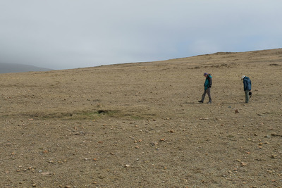 Walk photo