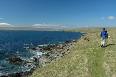 Walk photo