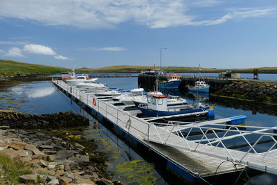 Walk photo