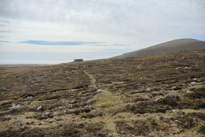 Walk photo