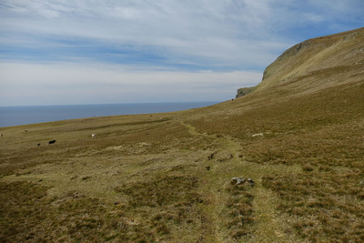 Walk photo