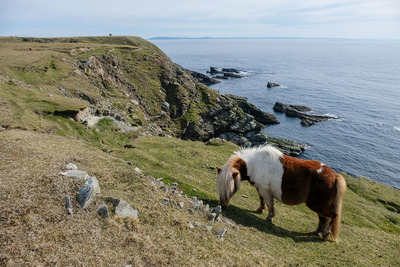Walk photo