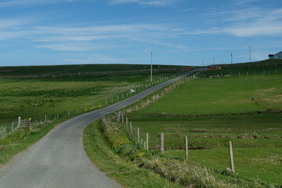 Walk photo