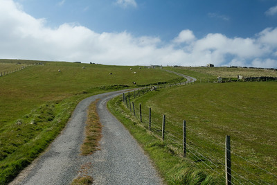 Walk photo