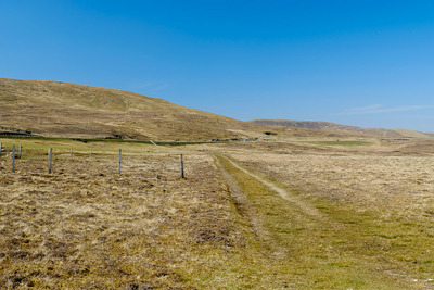 Walk photo