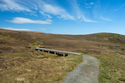 Walk photo
