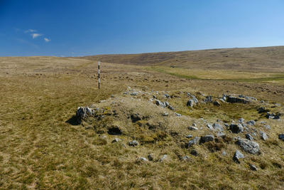 Walk photo