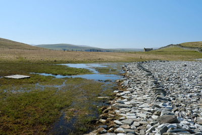 Walk photo