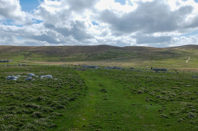 Walk photo