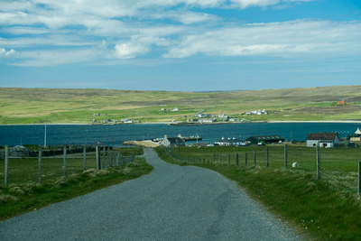 Walk photo