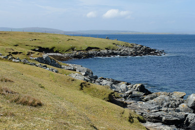 Walk photo