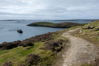 Walk photo