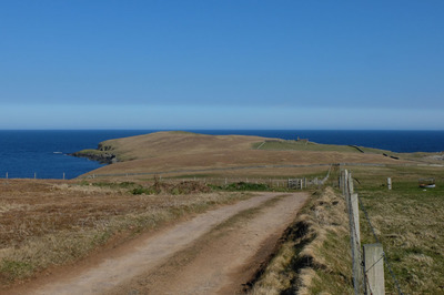 Walk photo