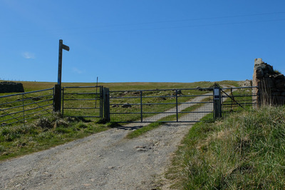 Walk photo