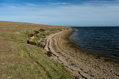Walk photo