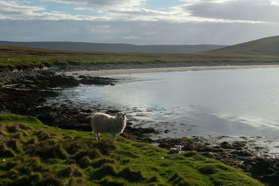 Walk photo