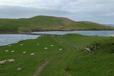 Walk photo