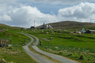 Walk photo