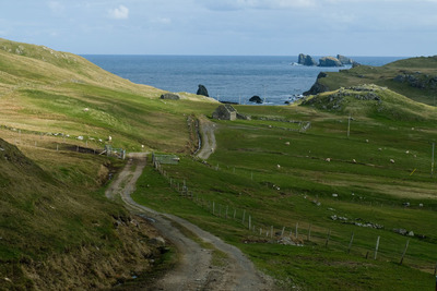 Walk photo