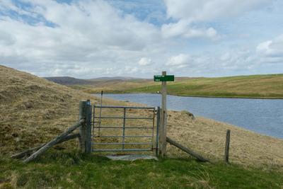 Walk photo