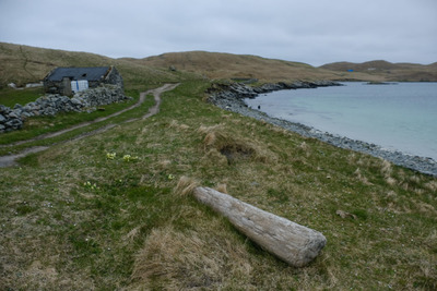 Walk photo
