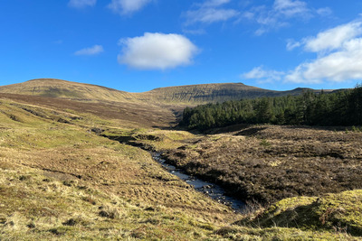 Walk photo