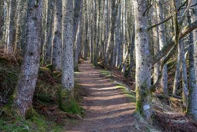 Walk photo