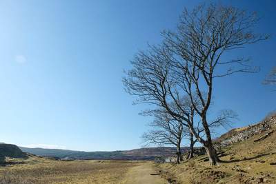 Walk photo