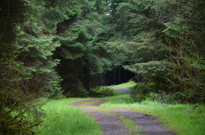 Walk photo
