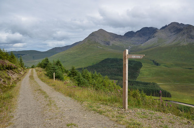 Walk photo