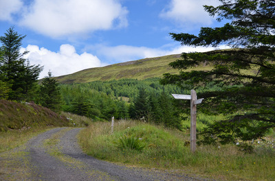 Walk photo