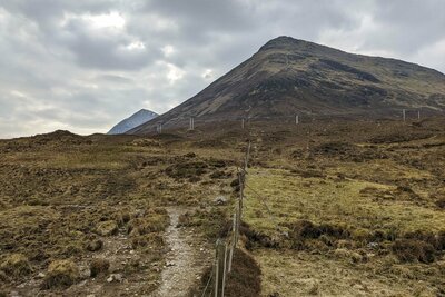 Walk photo