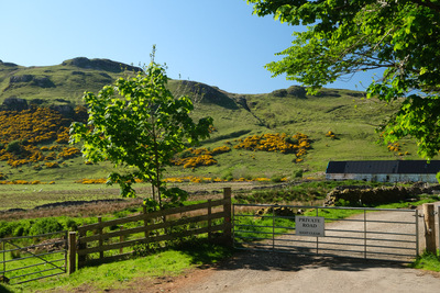 Walk photo