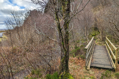 Walk photo