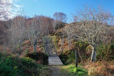 Walk photo