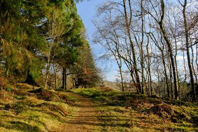 Walk photo