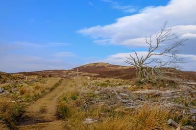 Walk photo