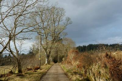 Walk photo