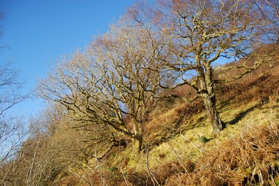 Walk photo