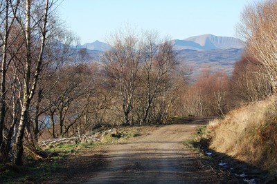 Walk photo