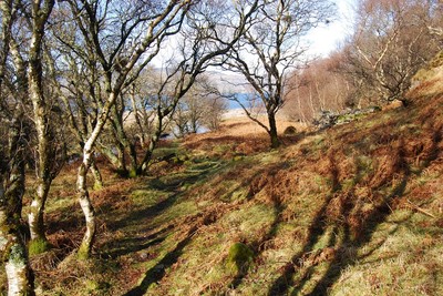 Walk photo
