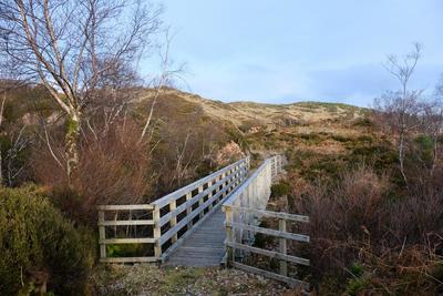 Walk photo